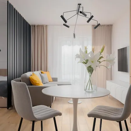 Citystay Diasfera Lodzka Elegancki Apartamentem Zewnętrze zdjęcie