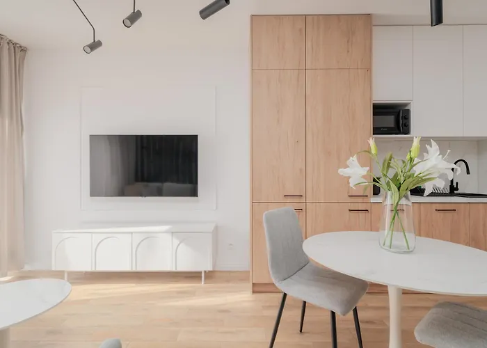 Citystay Diasfera Lodzka Elegancki Apartamentem